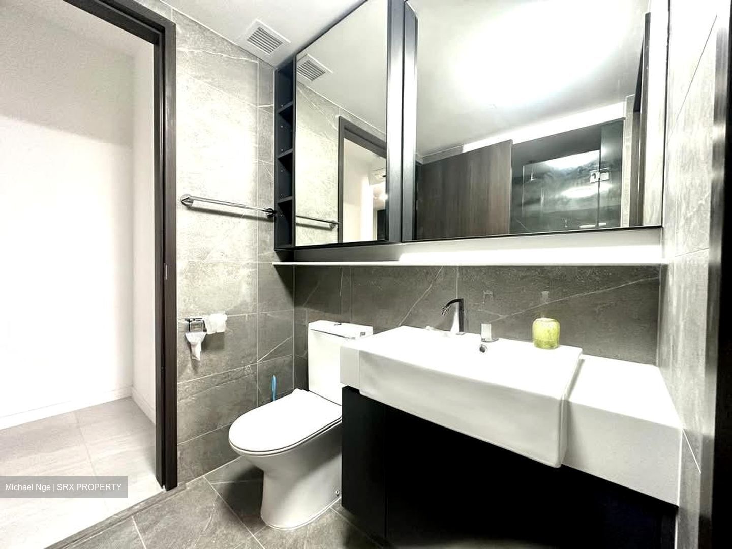 Riverfront Residences (D19), Apartment #539534601